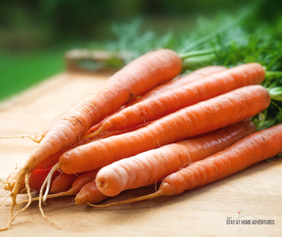 How To Grow Carrot Indoors (plus the benefits of growing  