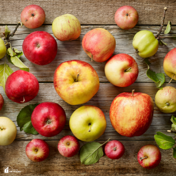 A variety of red and green apples arranged on a rustic wooden surface, surrounded by leaves and small apple branches.