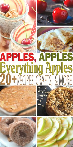 Apples, Apples, Everything Apples * My Stay At Home Adventures