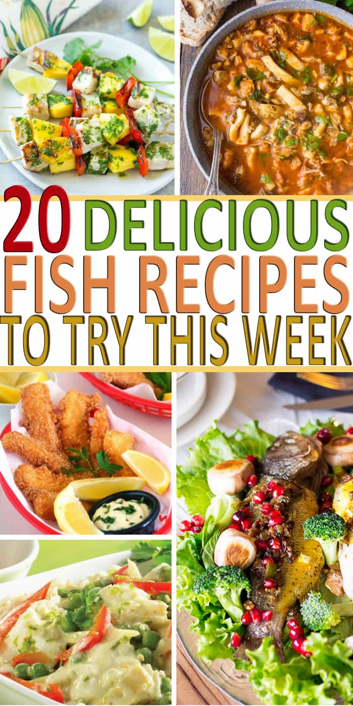 20 Fabulous Fish Recipes You Need To Try This Week * My Stay At Home ...