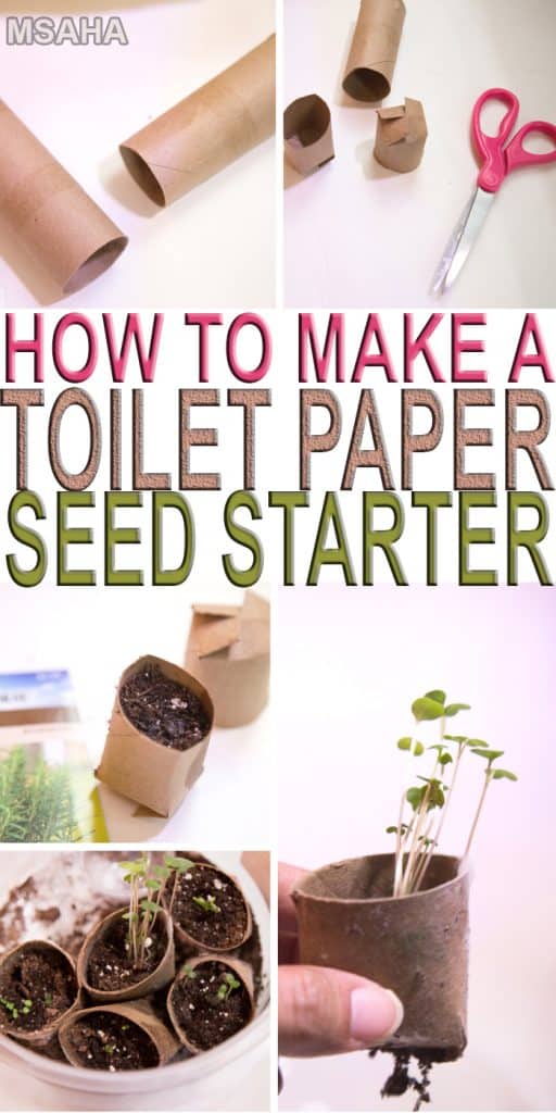 How To Create Toilet Paper Seed Starter My Stay At Home Adventures