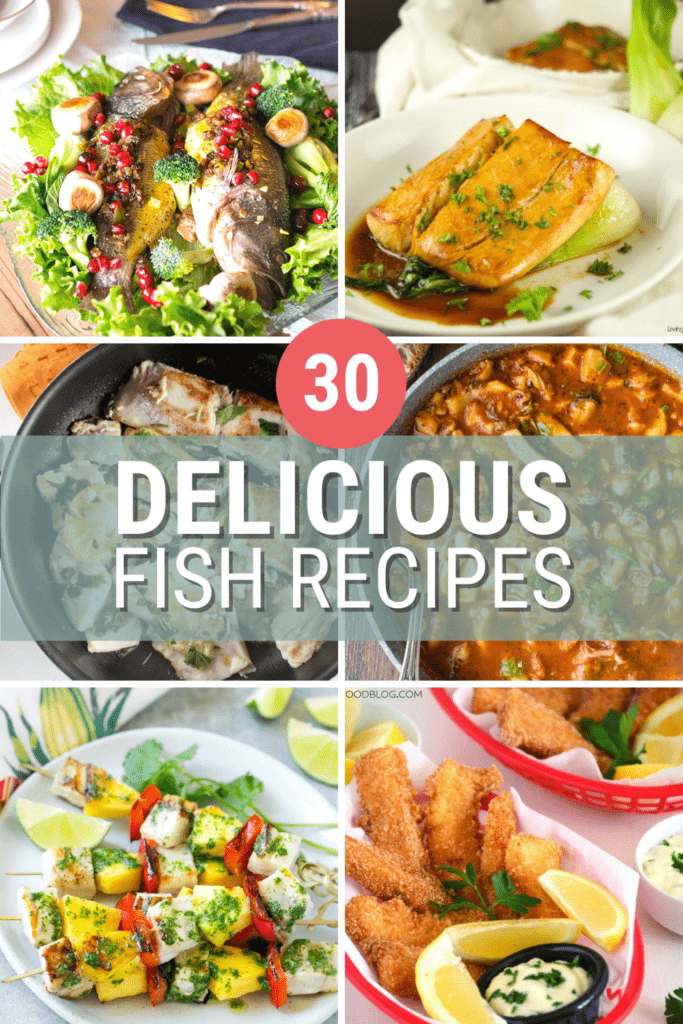 collages of six different fish dinner with overlay text: 30 delicious fish recipes