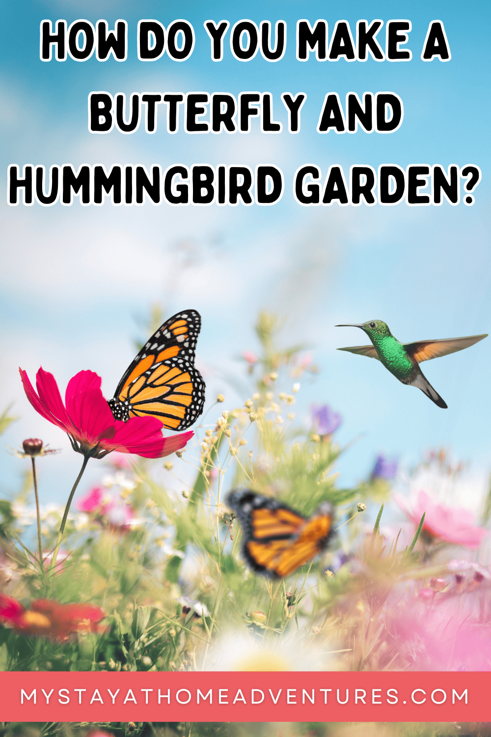 How Do You Make a Butterfly and Hummingbird Garden?