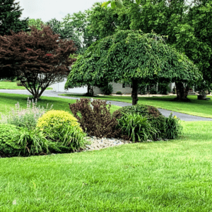 7 Tips to Help You Landscape Your Front Yard This Season