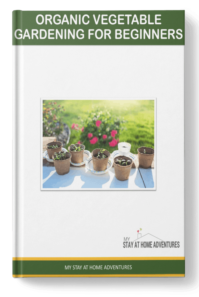 Dollar Printable of the Month - Hurry and grab this Garden Digital Ebook