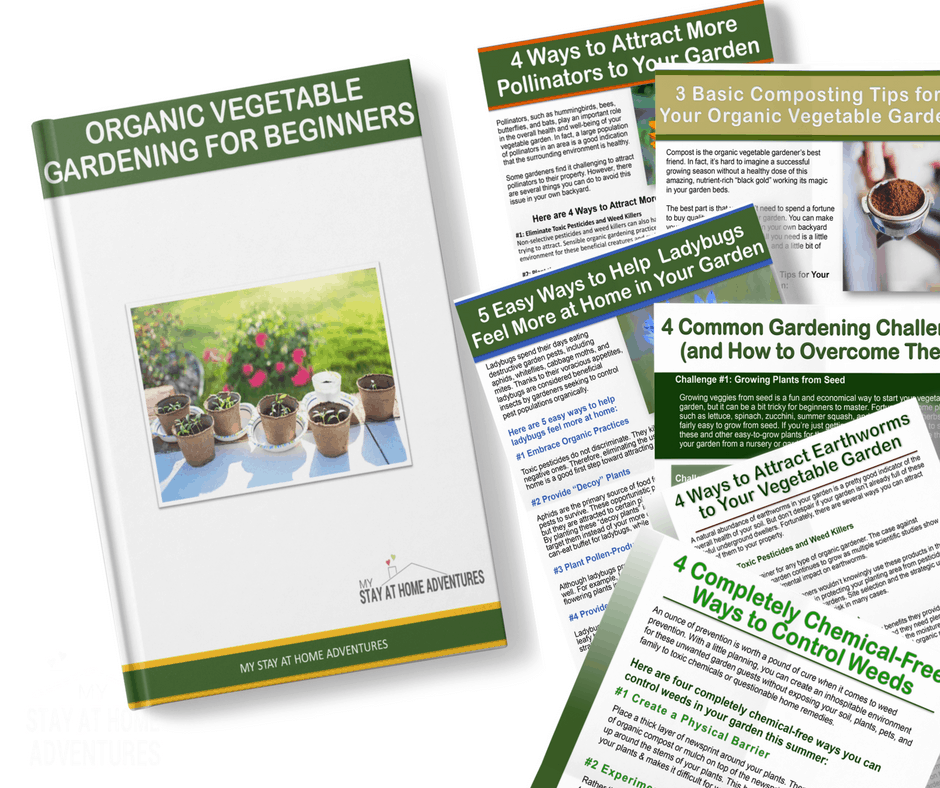 Dollar Printable Of The Month - Hurry And Grab This Garden Digital Ebook