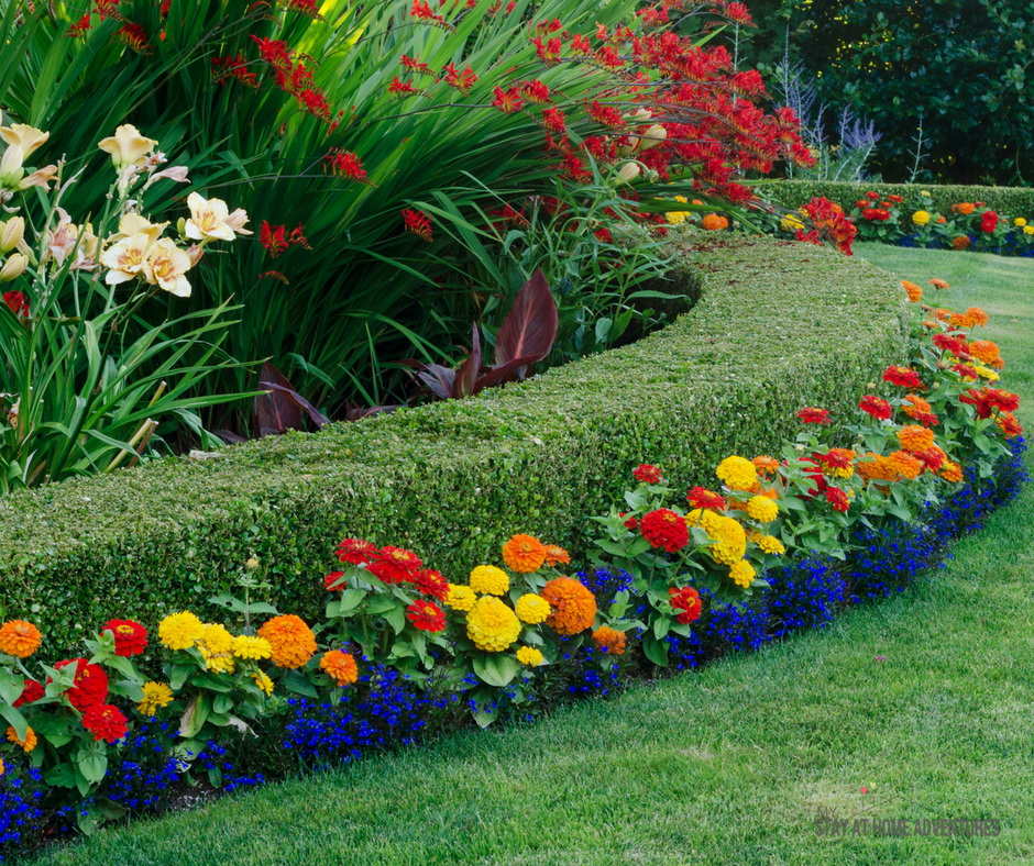 How To Add Color To Front Yard Landscaping My Stay At Home Adventures