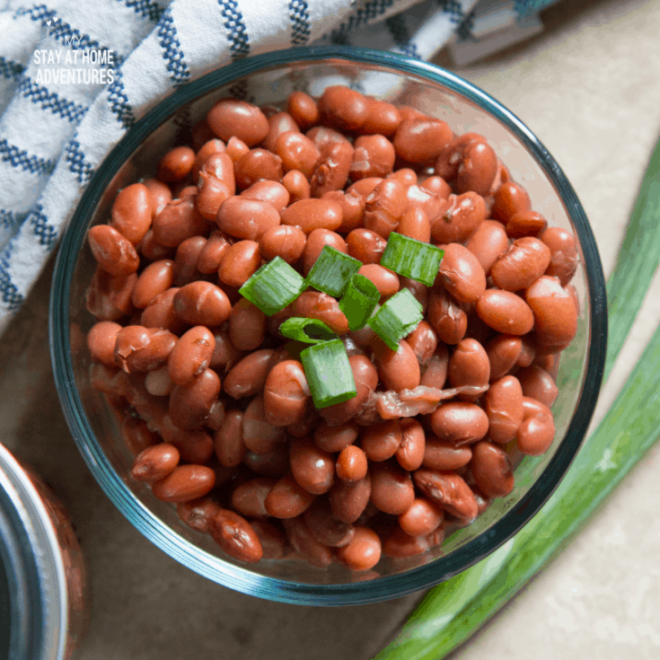 How to Make Instant Pot Dried Beans (No Pre-Soaking Required)