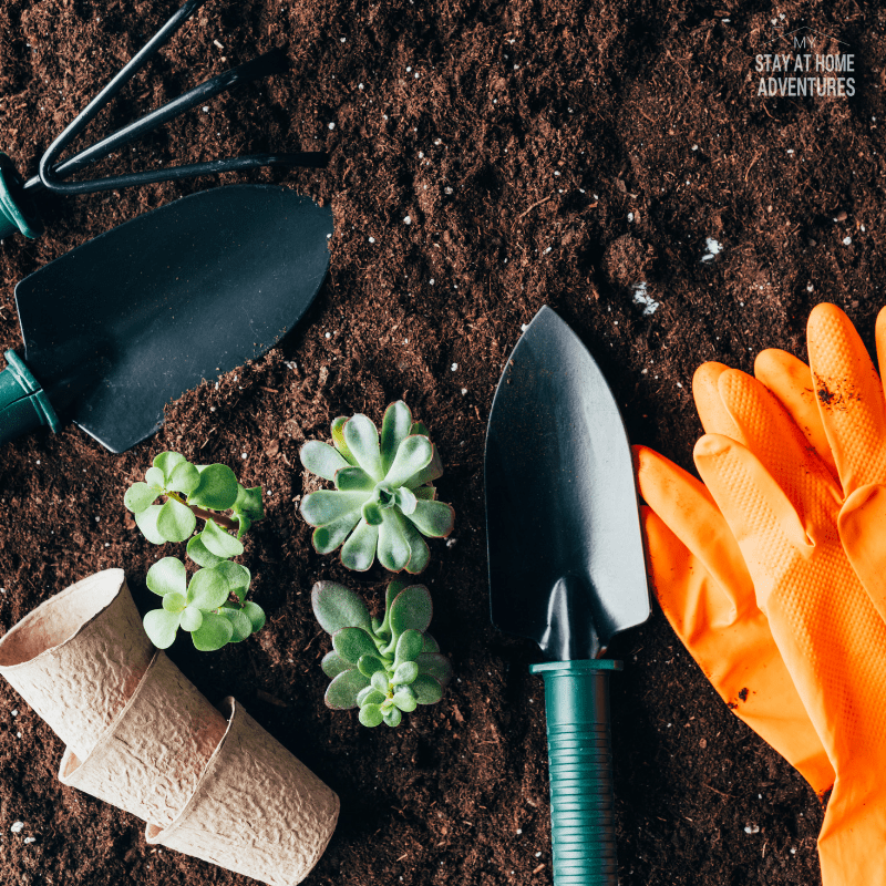 How To Improve Your Garden Soil