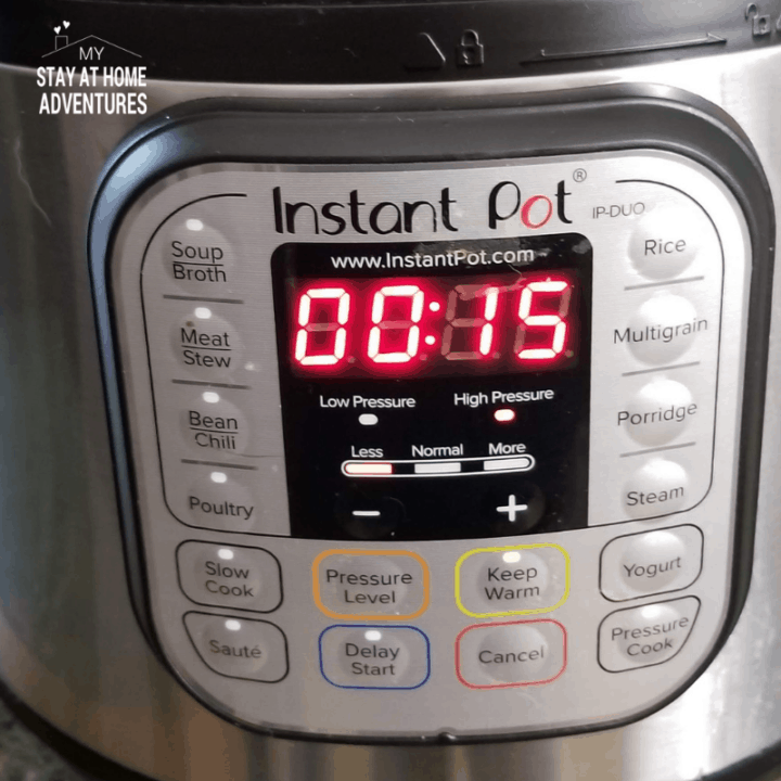 Easy and Delicious Instant Pot Buffalo Chicken (Freezer Friendly)