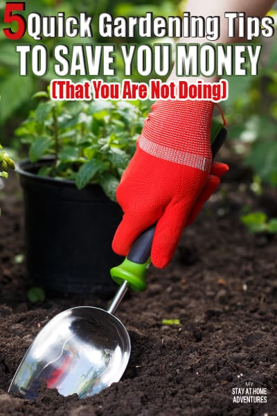 5 Quick Gardening Tips To Save You Money Starting Today