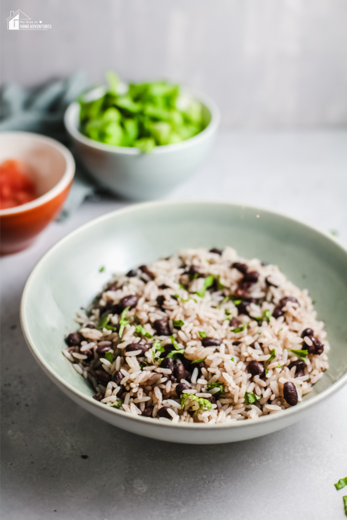 A close-up of Gallo Pinto, a traditional Costa Rican dish of rice and black beans, served in a bowl with fresh herbs and side toppings in the background.