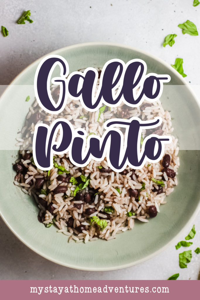 A bowl of Gallo Pinto, a traditional Costa Rican dish featuring rice and black beans, garnished with fresh herbs on a light background.