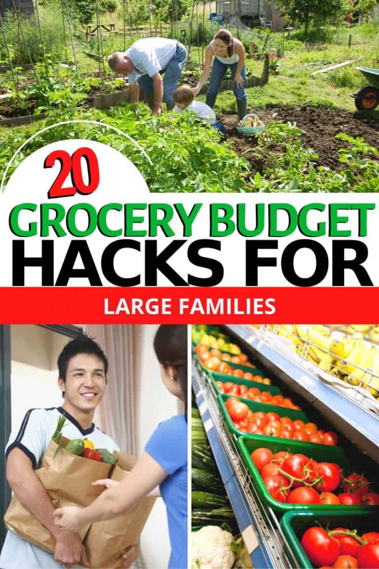 20 Grocery Budget Hacks For Big Families * My Stay At Home Adventures