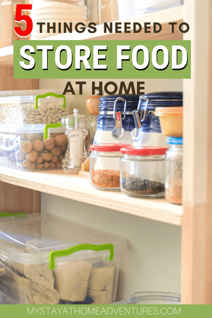 4 Things Needed To Store Food This Year (All You Need To Know)