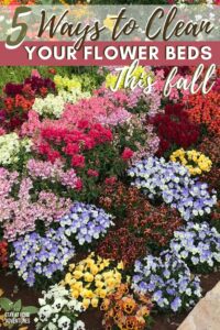 5 Useful Ways to Clean Your Flower Beds This Fall