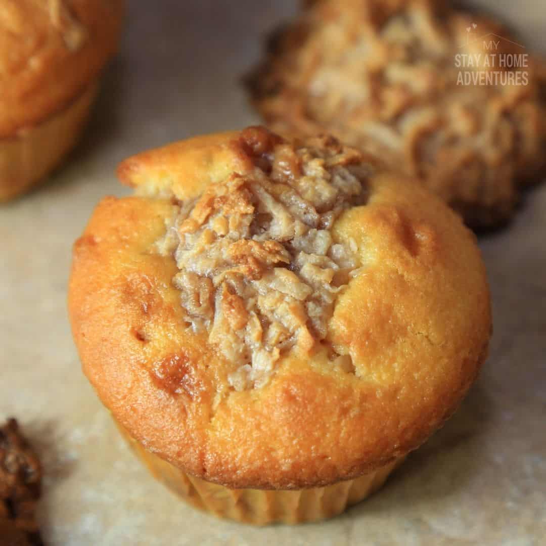 Simple and Delicious Hazelnut Coconut Macaroon Cupcakes You Will Love