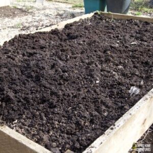 How To Build Raised Vegetable Garden Beds For Beginner Gardeners