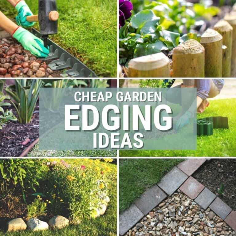 Cheap Garden Edging Ideas for Your Garden