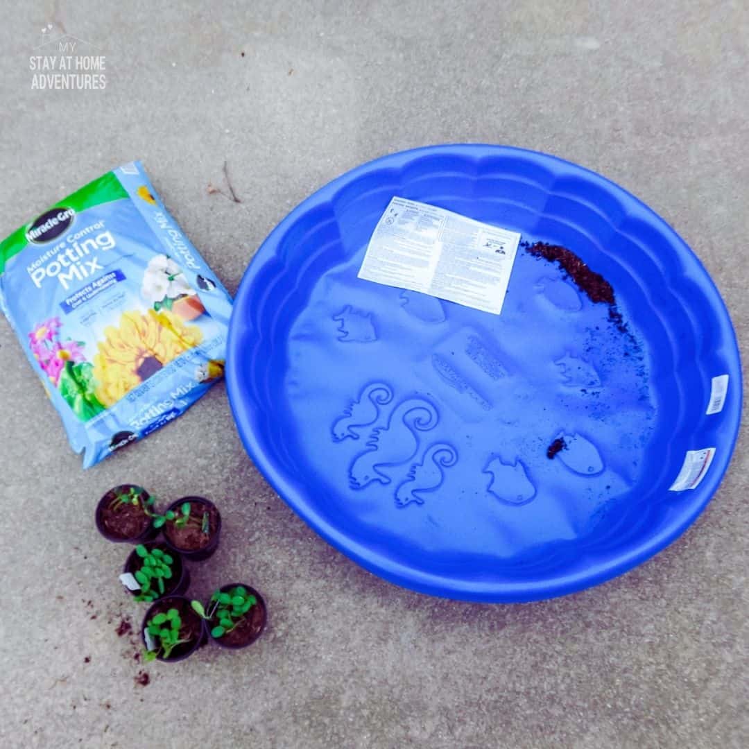 Creative Ways to Start a Garden Using Kiddie Pools