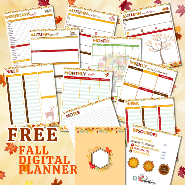 An image of a free fall digital planner sheets.