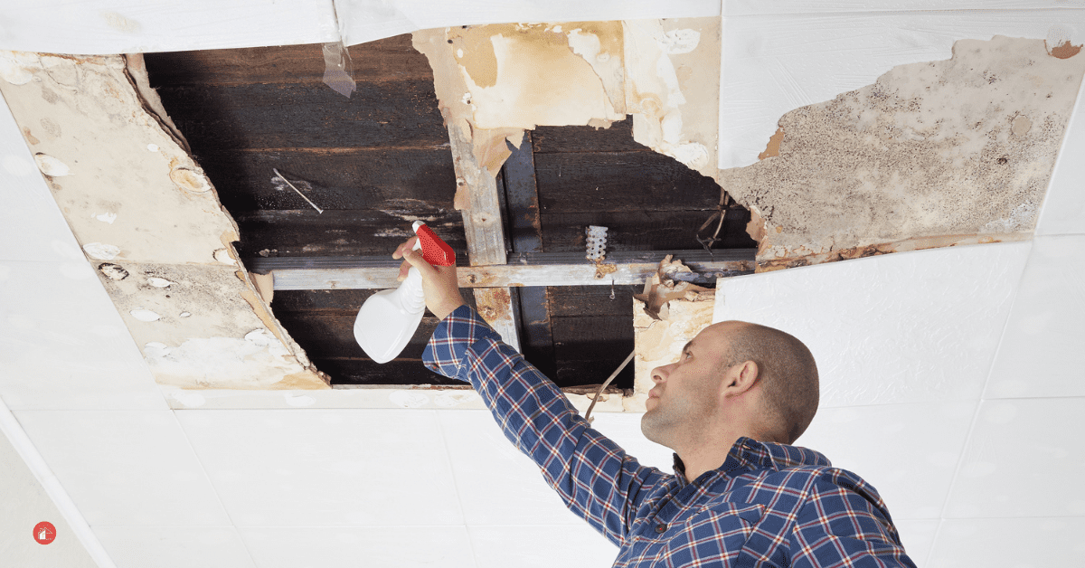 How To Clean Mold Off Wood My Stay At Home Adventures