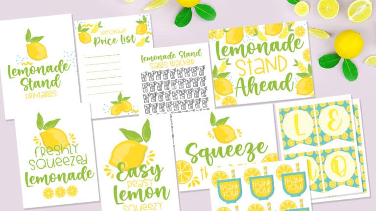 6 Reasons Why Having a Kid Lemonade Stand is Good For Them