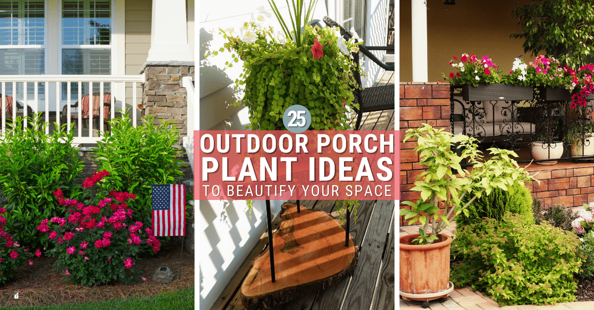 25 Outdoor Porch Plant Ideas To Beautify Your Space