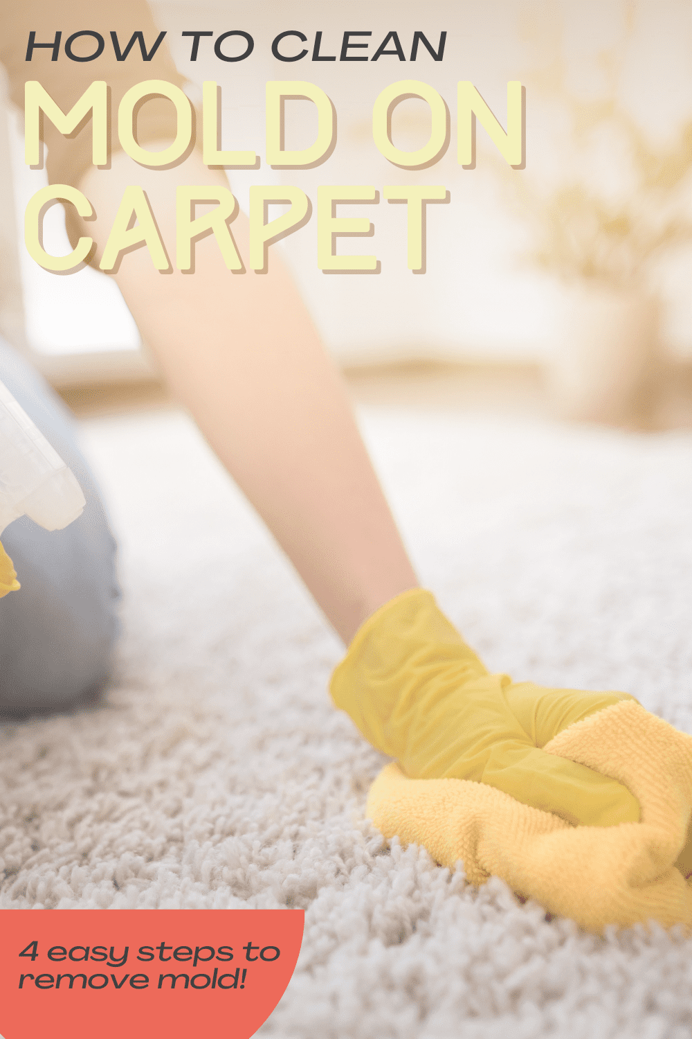 how-to-kill-mold-in-carpet