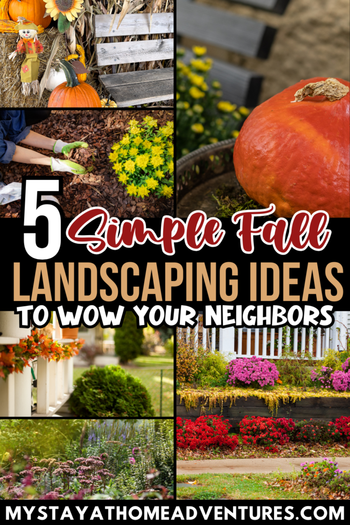 A collage of vibrant fall landscaping ideas featuring colorful flowers, mulch, pumpkins, and seasonal decor, with text overlay "5 Simple Fall Landscaping Ideas to Wow Your Neighbors," ideal for autumn garden inspiration.