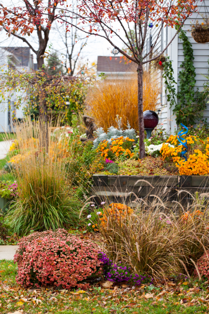  A vibrant fall landscape featuring a variety of colorful flowers, ornamental grasses, and autumn foliage, perfect for enhancing curb appeal and showcasing fall landscaping ideas that will wow your neighbors.