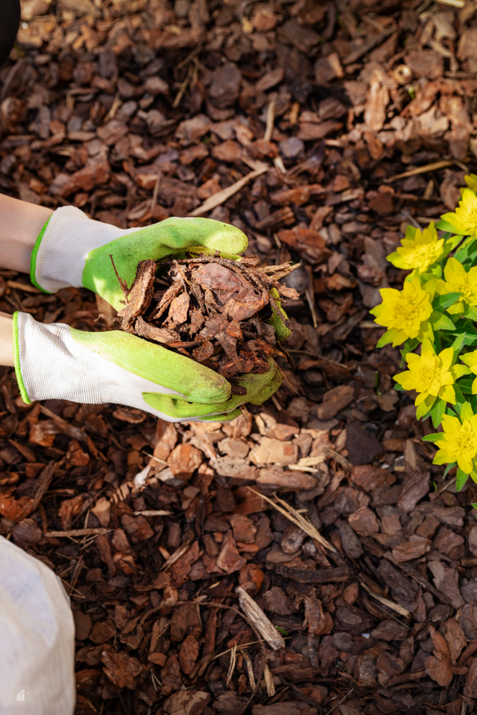 A gardener wearing green gloves applies natural mulch around a flower bed to protect plants and enhance fall landscaping, demonstrating essential fall gardening tips for a healthy and beautiful yard.