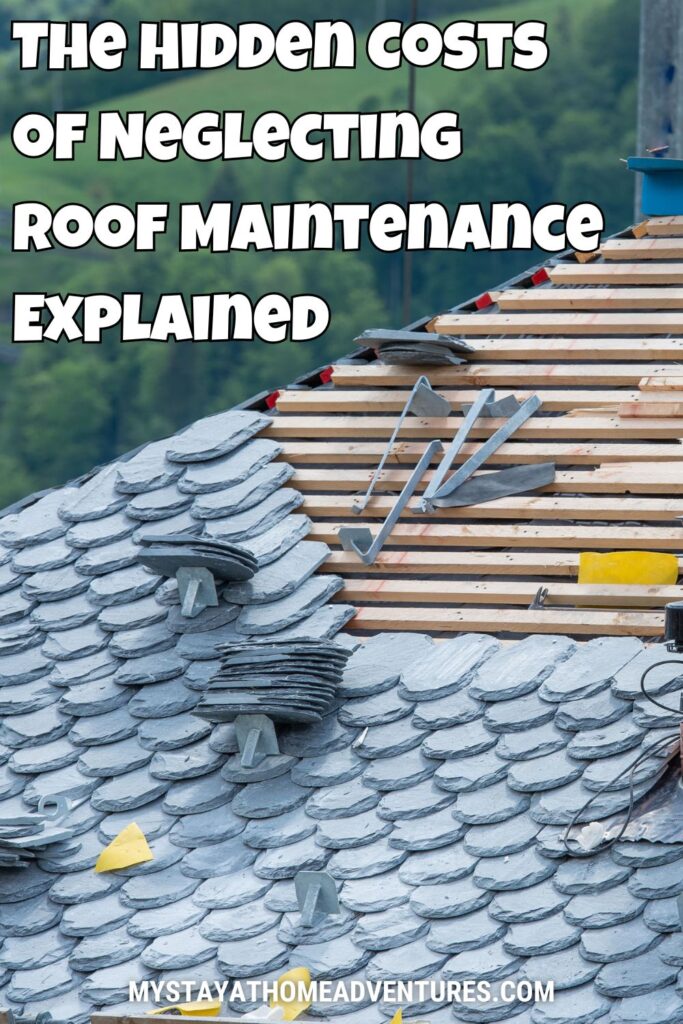 Roof Renovation with text "The Hidden Costs of Neglecting Roof Maintenance Explained"