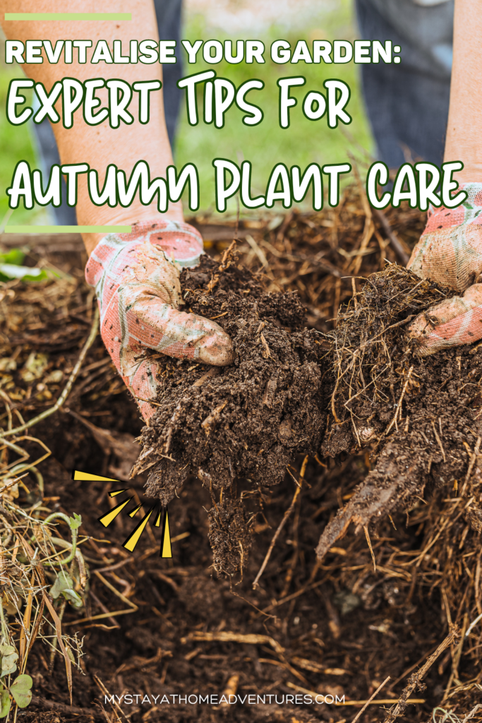 Hands in gardening gloves lifting rich soil, showcasing essential techniques for autumn plant care and garden revitalization.