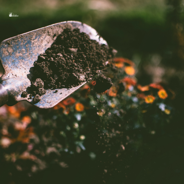 A shovel tossing dirt in a garden, illustrating ways to protect your eye health while gardening from debris and soil.