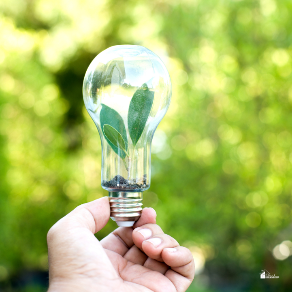 A hand holding a lightbulb containing a small plant emphasizes sustainability and energy-saving hacks for eco-conscious homes.