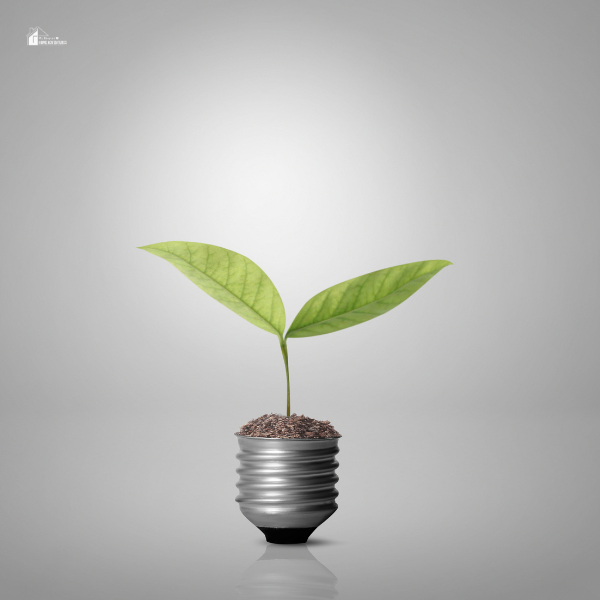 A minimalist image of a plant sprouting from a lightbulb base represents energy-saving strategies and efficient living practices.