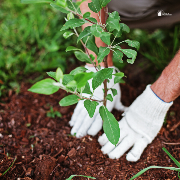 hands doing gardening