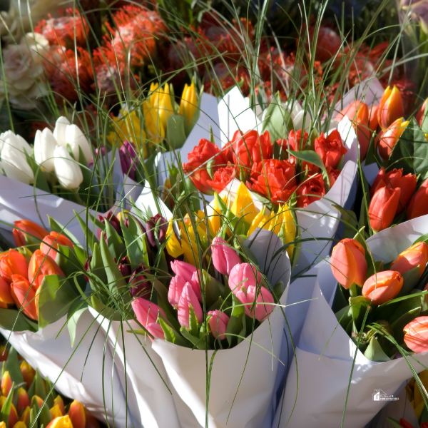 A vibrant display of tulip bouquets in various colors, wrapped in white paper and accented with greenery.