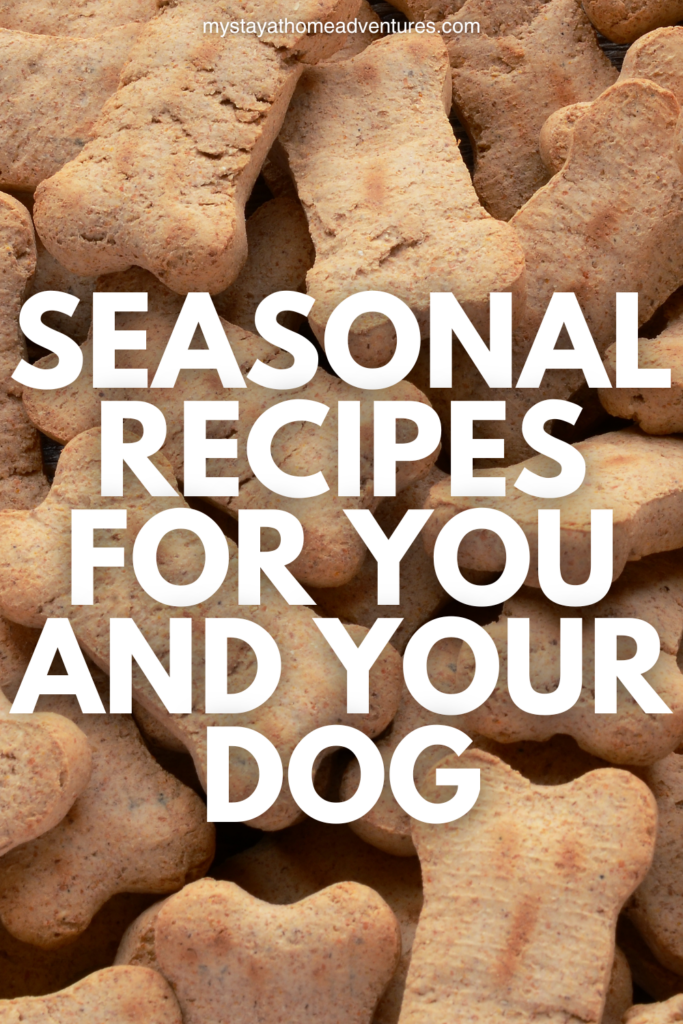 A close-up of homemade bone-shaped dog treats stacked together, showing their crunchy texture and natural ingredients.