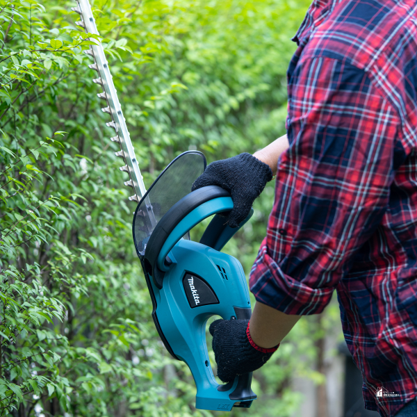 A person wearing gloves and a plaid shirt operating a blue hedge trimmer on a leafy shrub.