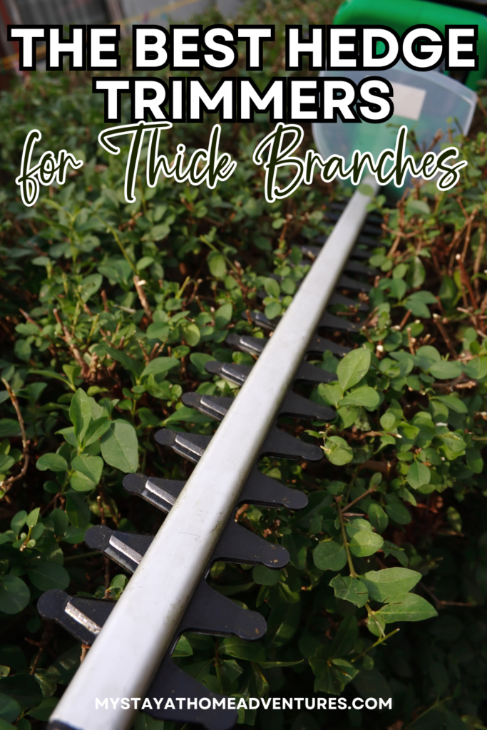 Close-up of a hedge trimmer blade positioned above a green leafy bush.