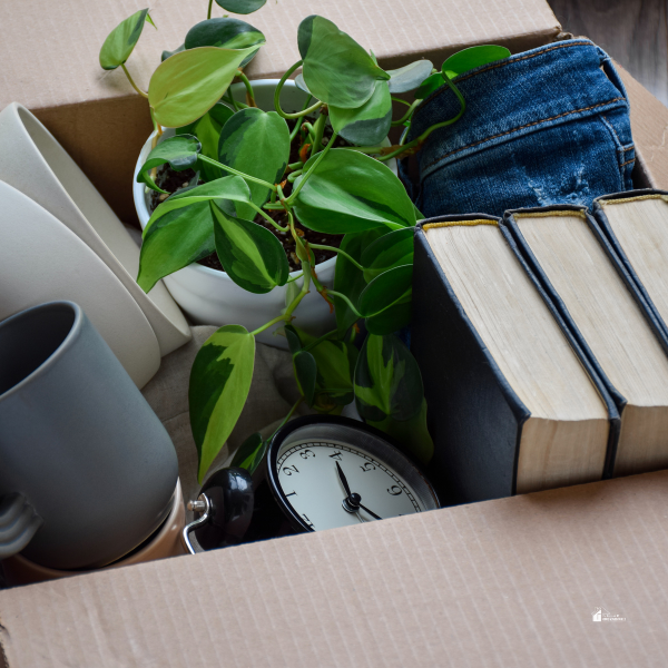 A box containing books, a potted plant, a clock, and household items ready to be decluttered or organized.