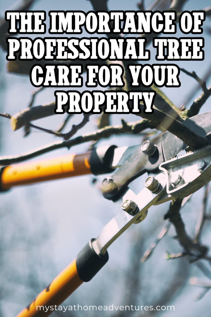 Close-up of a tree branch being trimmed with a pair of loppers against a bright sky.